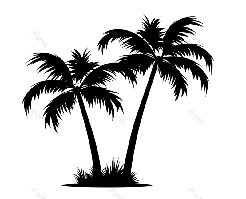 叶子图片,卡通元素,自然PNG,椰子免抠素材